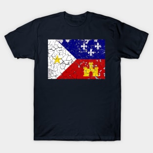 Peeling Acadiana Flag T-Shirt